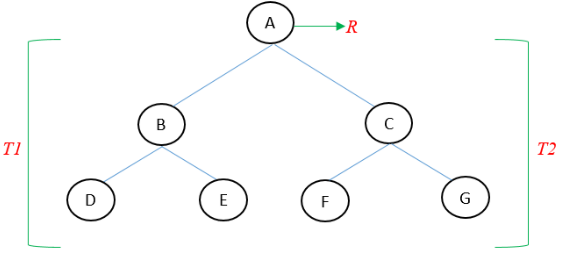Representación del árbol binario T
